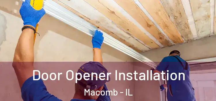  Door Opener Installation Macomb - IL