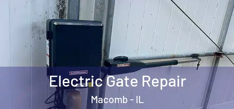 Electric Gate Repair Macomb - IL