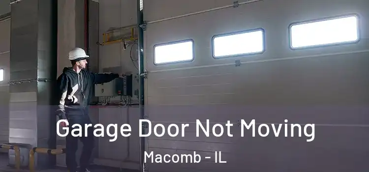  Garage Door Not Moving Macomb - IL