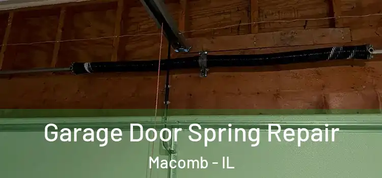  Garage Door Spring Repair Macomb - IL