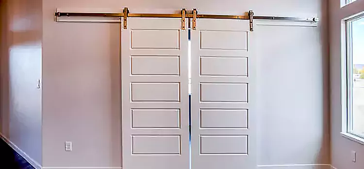 Glass Barn Door with Installation Hardware Kit Macomb