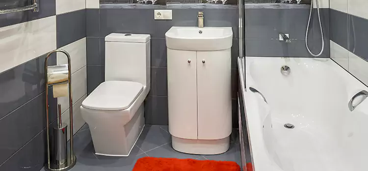 Hansgrohe Shaving Mirror Macomb